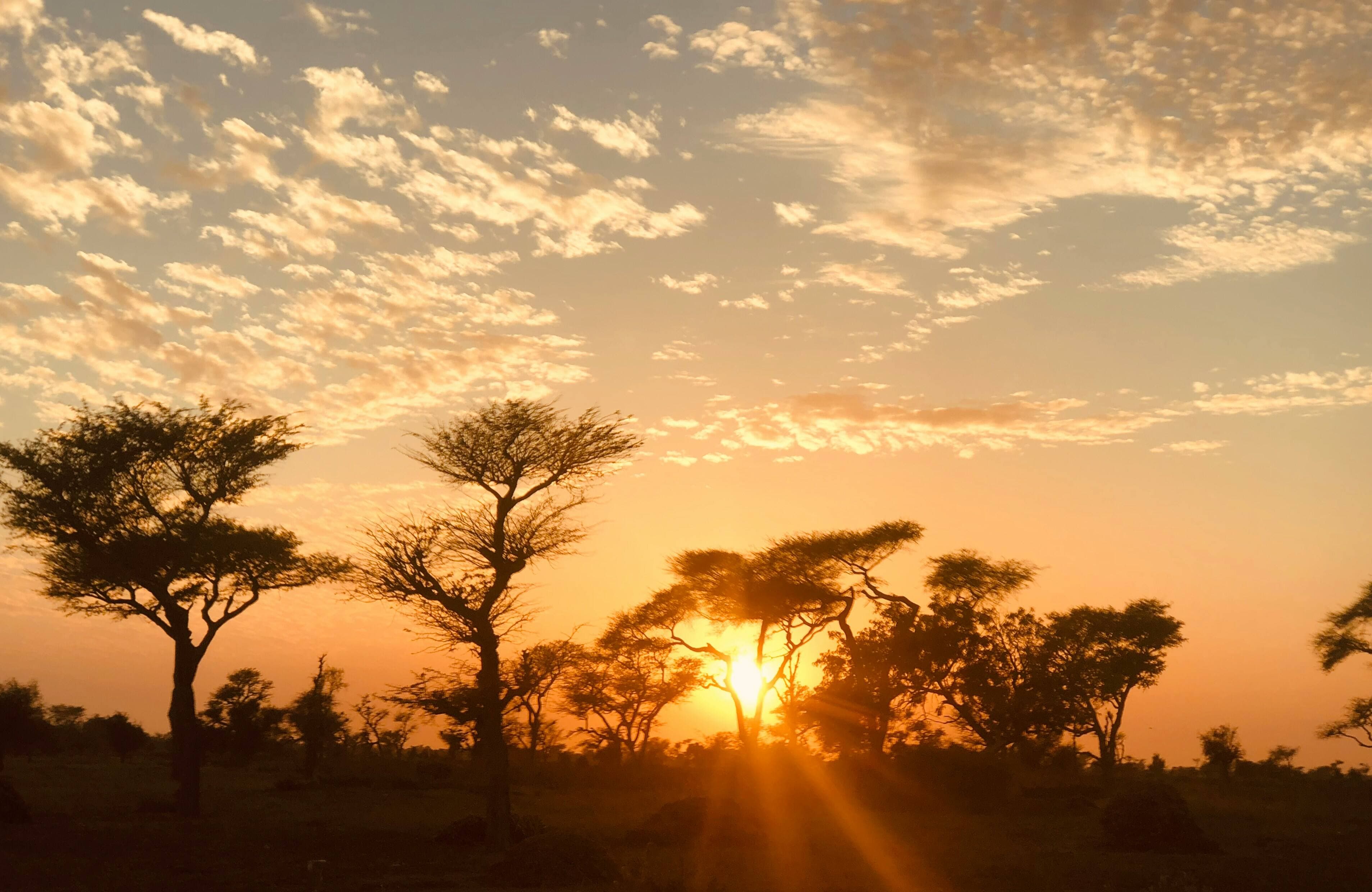 Communauté africaine réunie autour d'une initiative