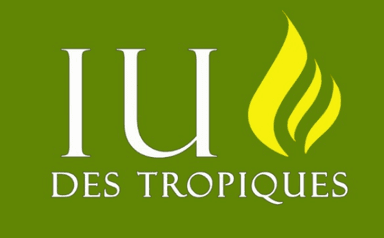 Logo IUT