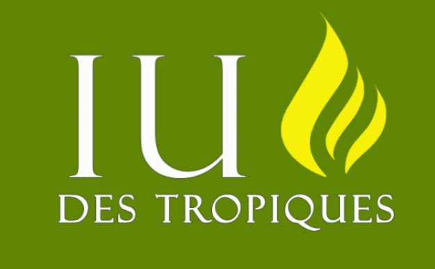 Logo IUT